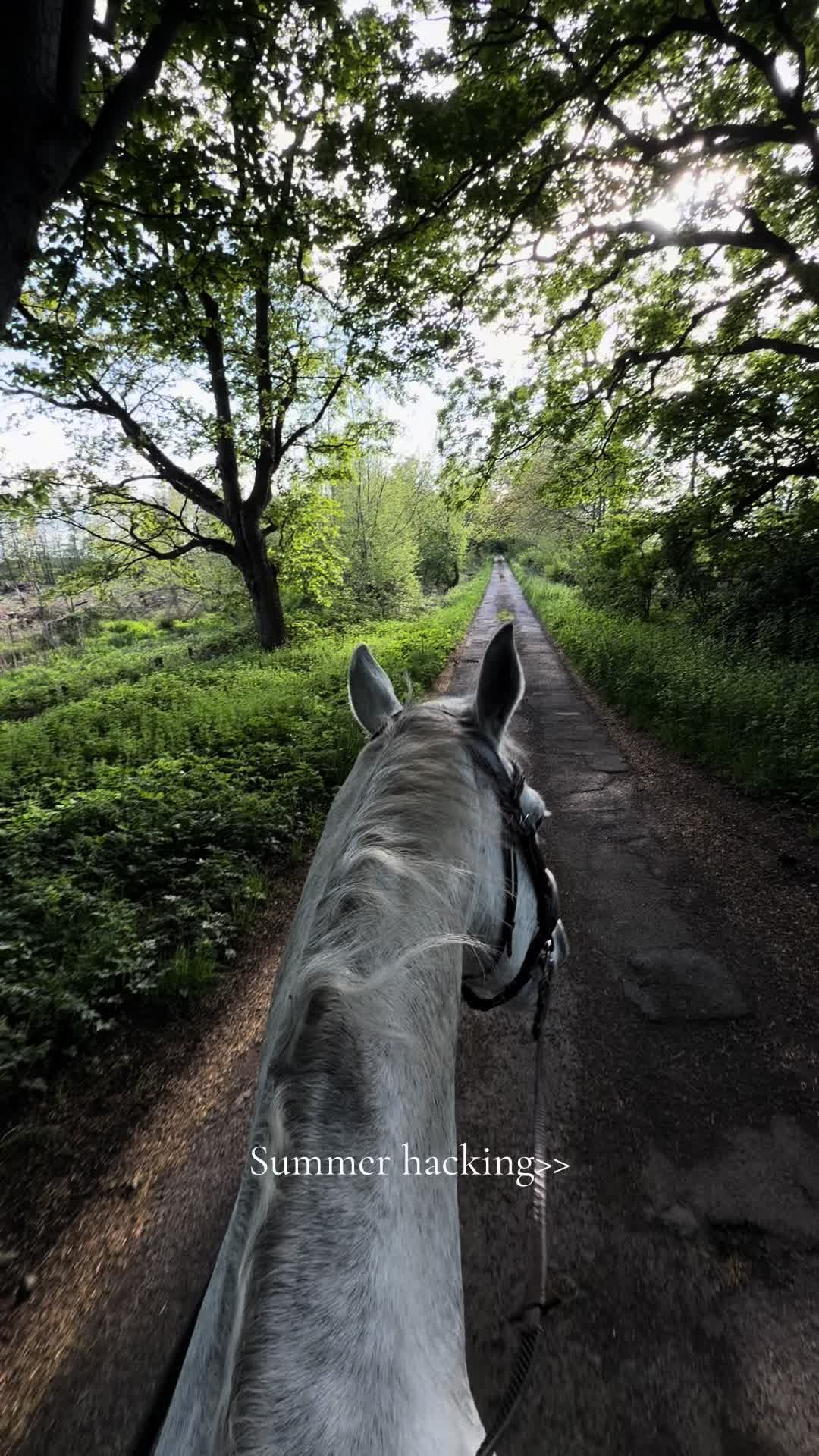 @Attempting to ride❤️
