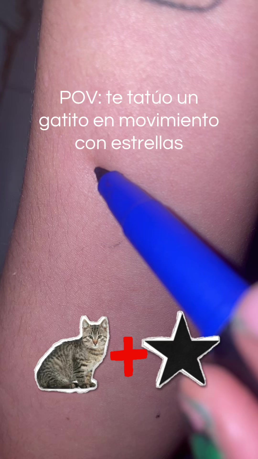 @q.tonta