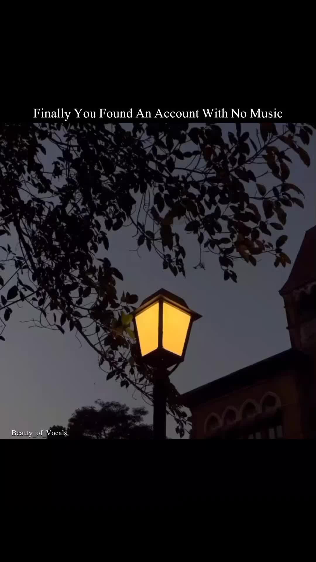 @𝐁𝐞𝐚𝐮𝐭𝐲_𝐨𝐟_𝐕𝐨𝐜𝐚𝐥𝐬