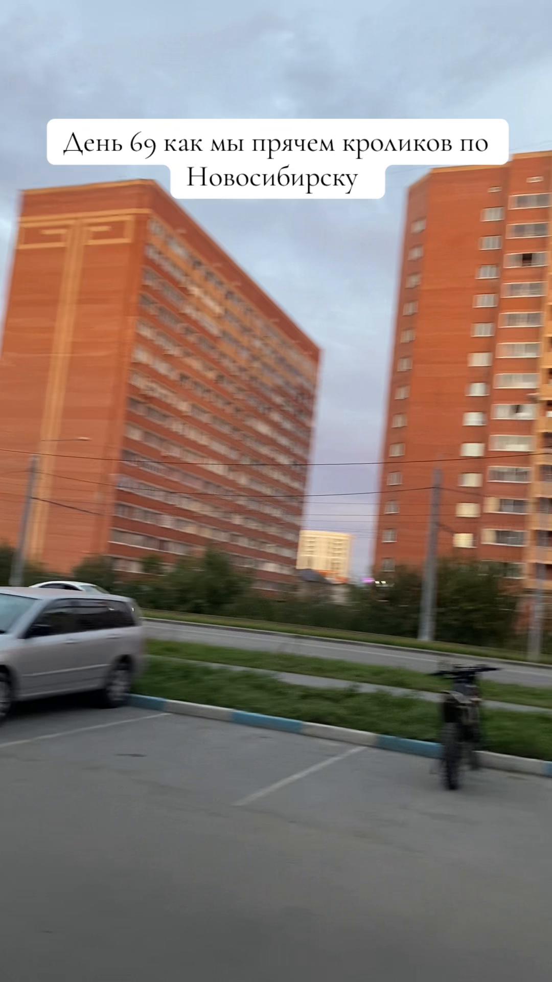 @Кролики
