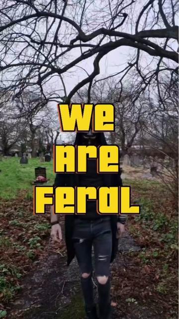 @Feral Masks