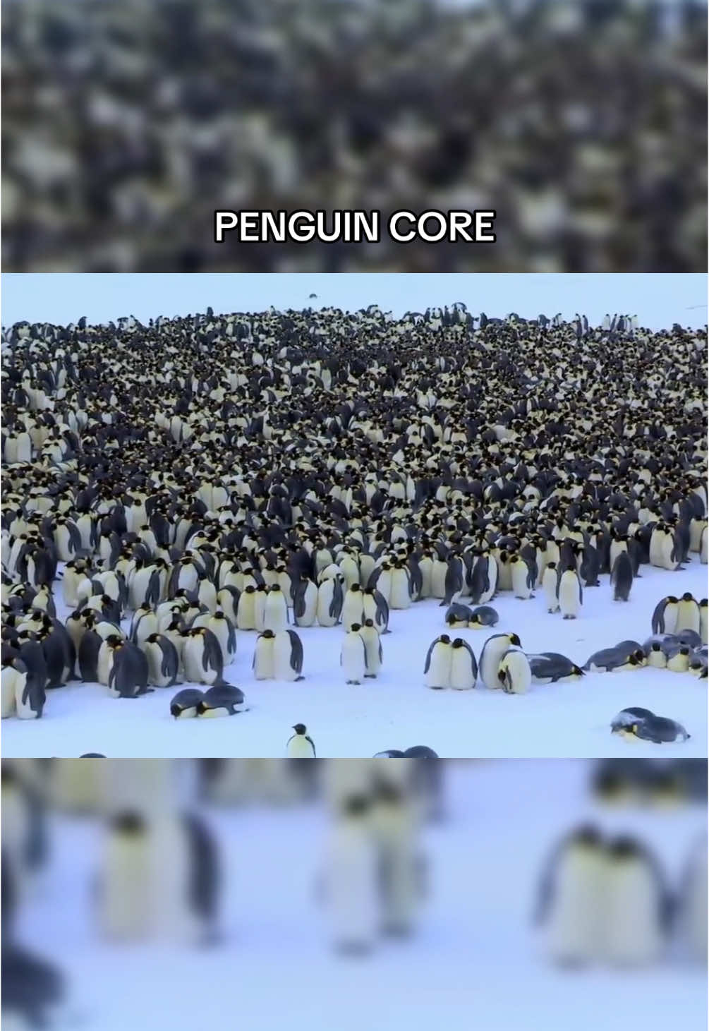 @wonderloopsvideo