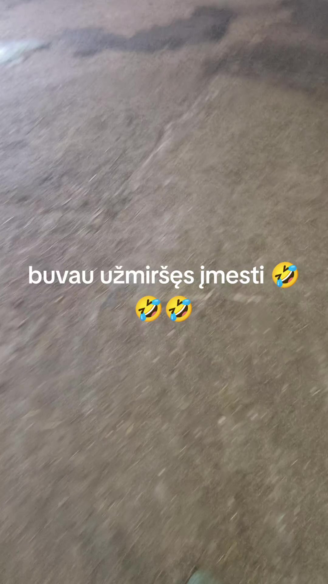 @🐰🐰Zuikyyyys🐰🐰