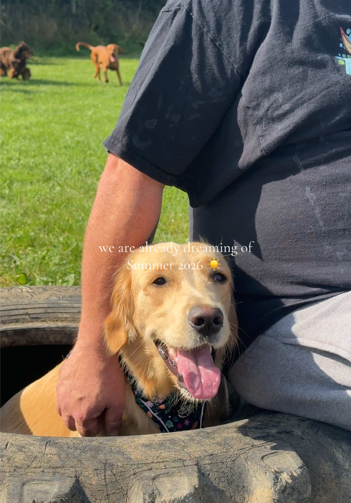 @Wild River Dog Park