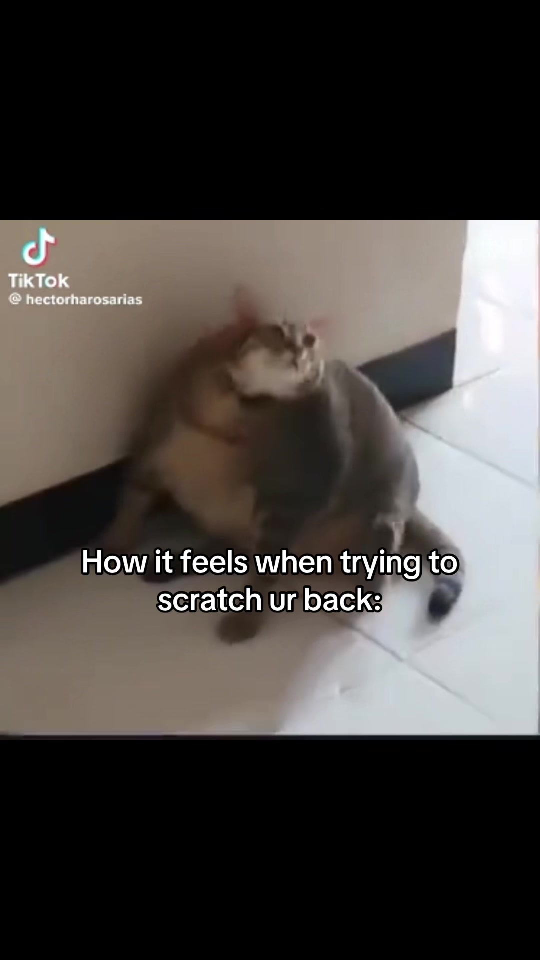 @???