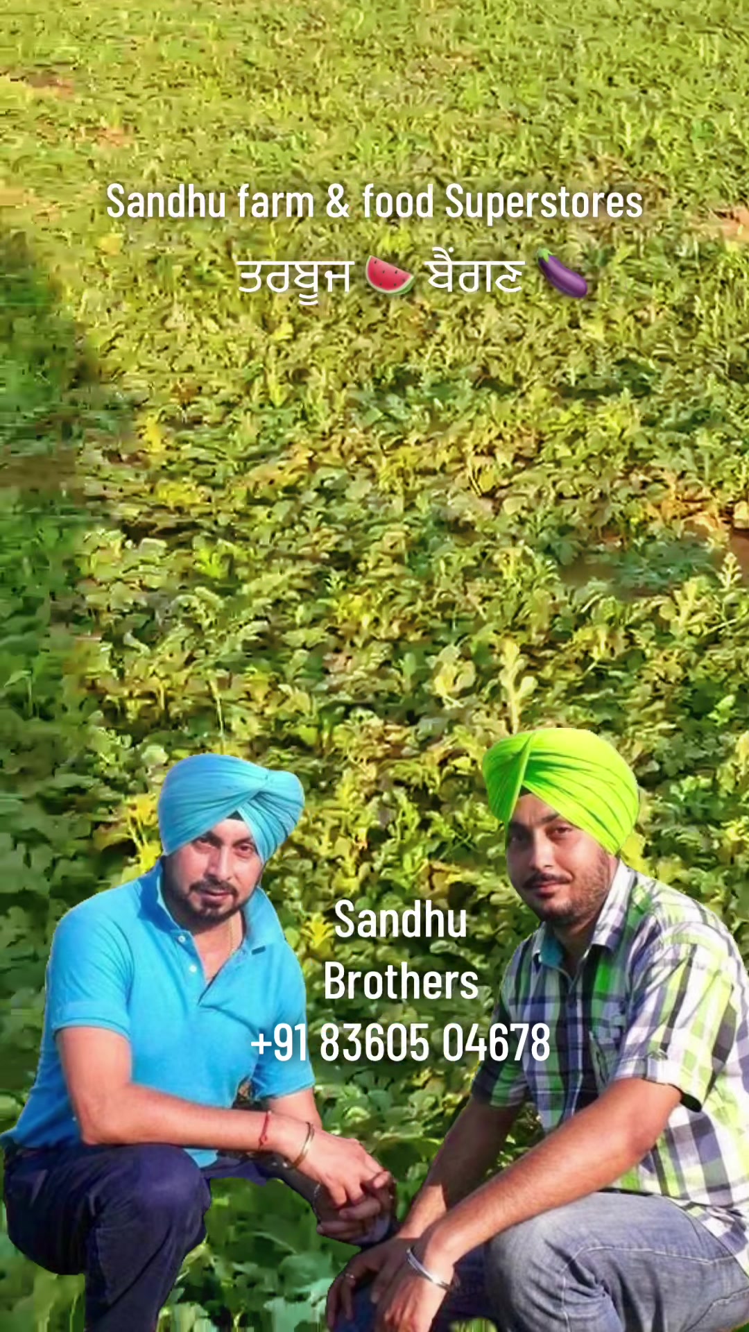 @ਮੌਜੀ (all rounder)