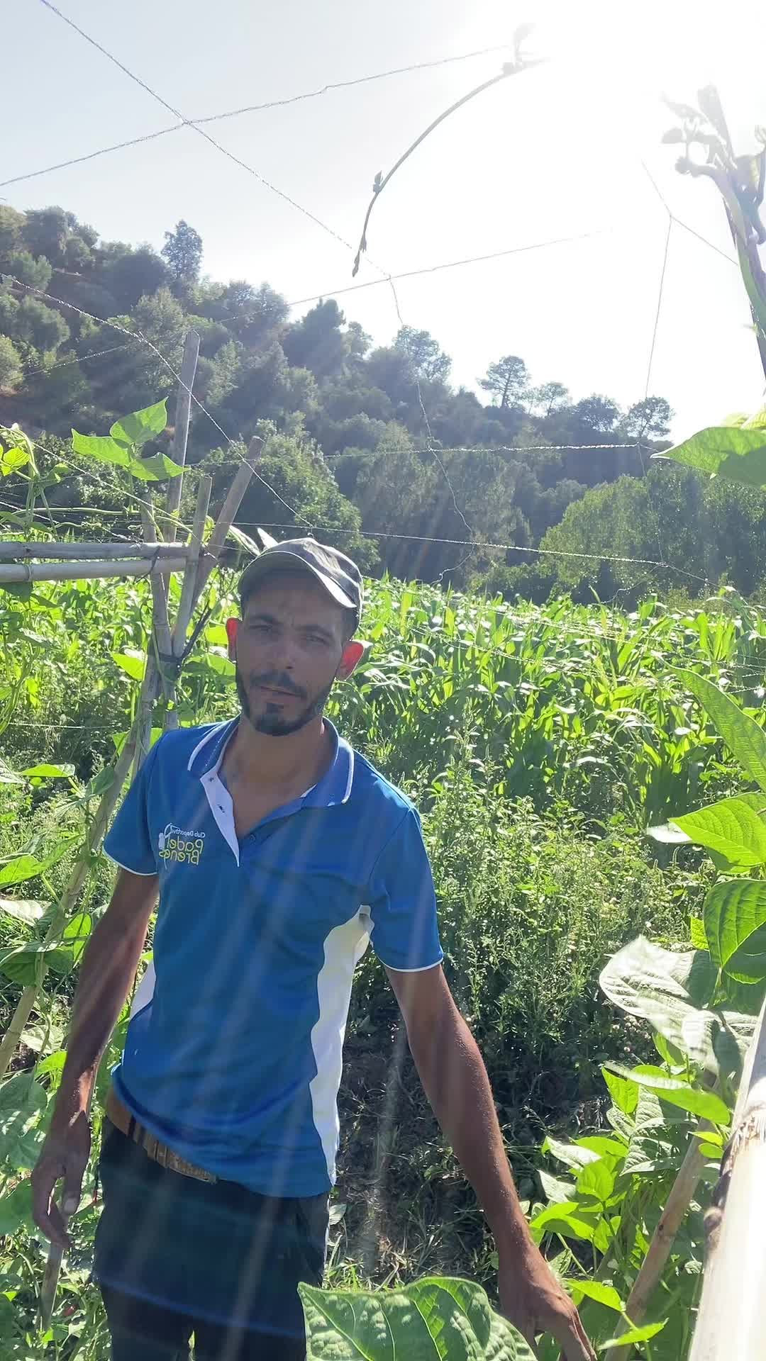 @il&atilde;ss m&iacute; l&atilde; v&iacute;d&acirc;