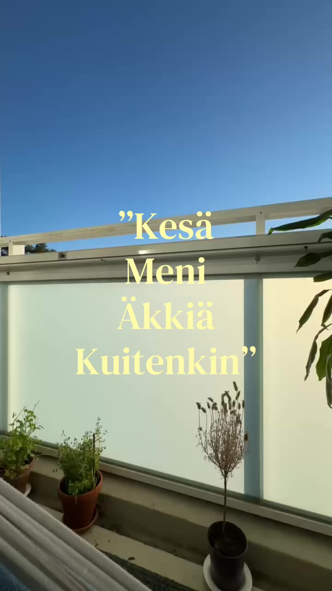 @Venla🤍