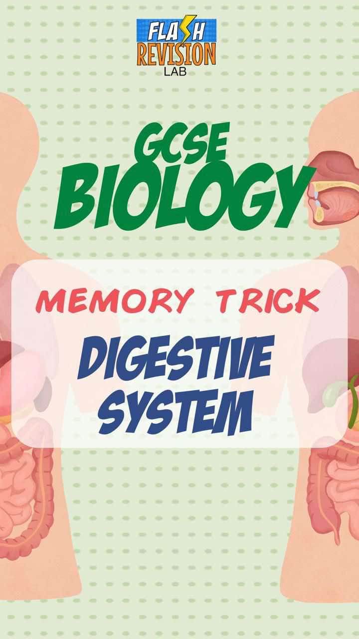 @FlashRevisionLab