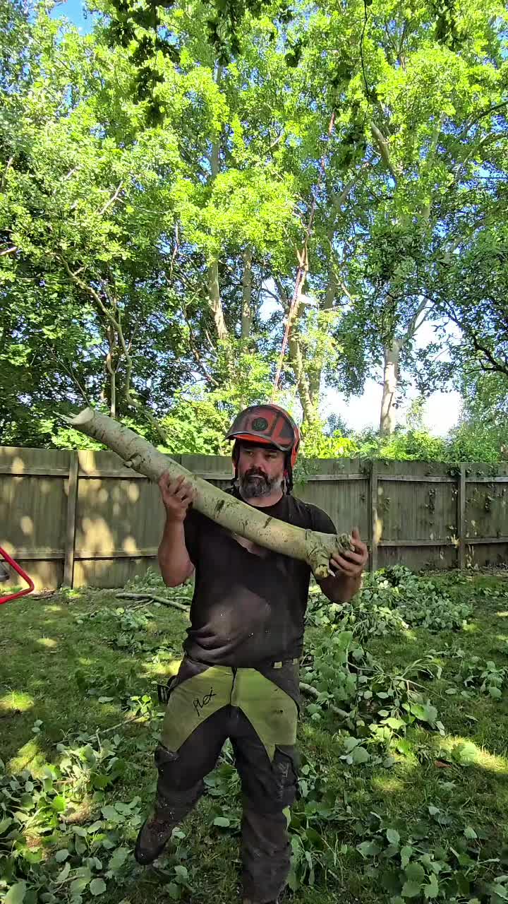 @treesportsfans