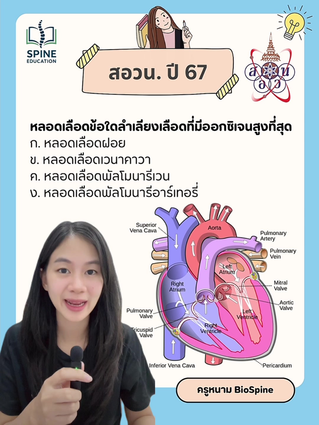 @Biospine by ครูหนาม