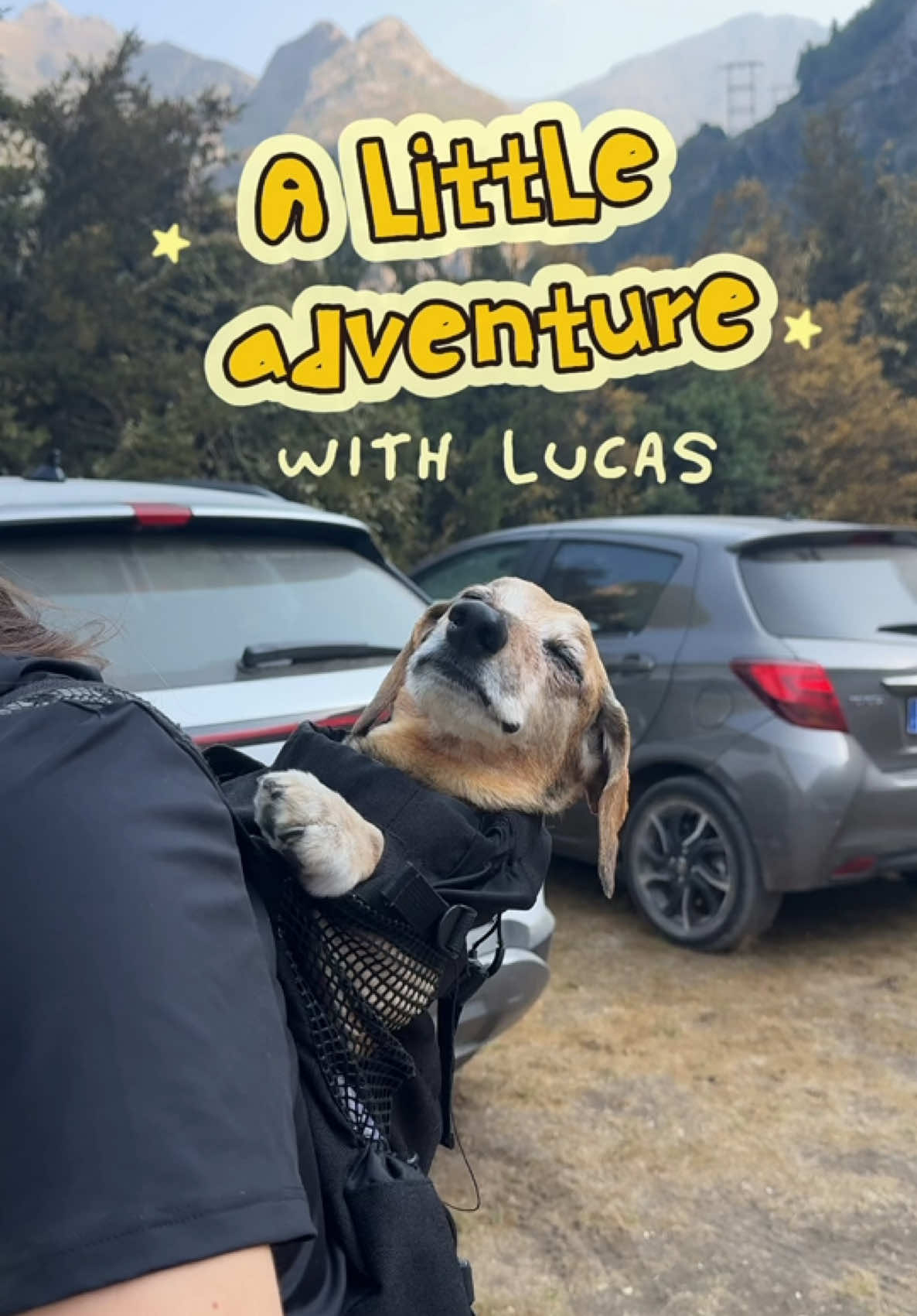 @Lucas The Dog