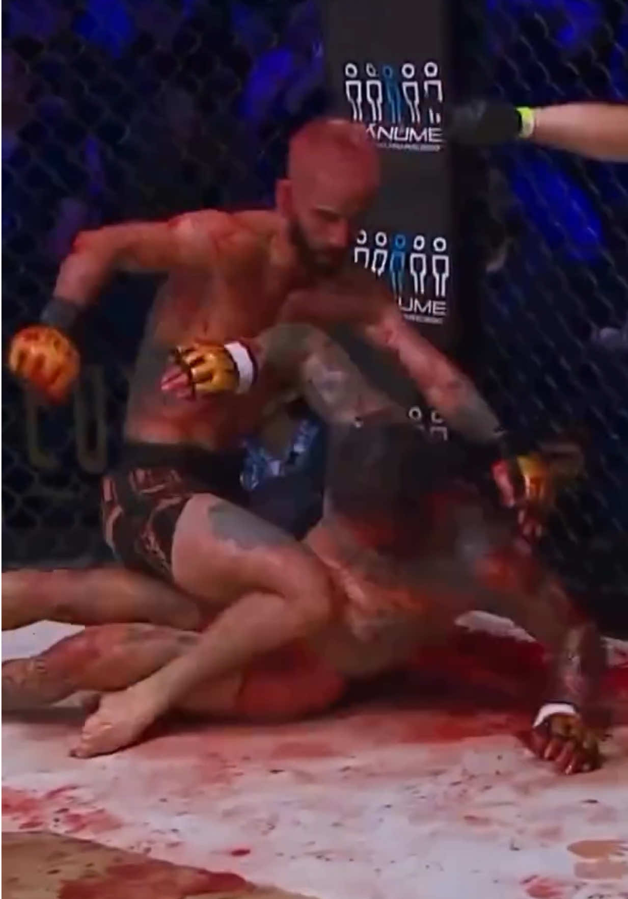 @FightingLab