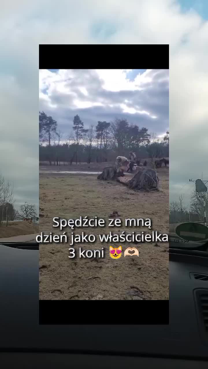 @TA OD KUCYK&Oacute;W🐴🐎