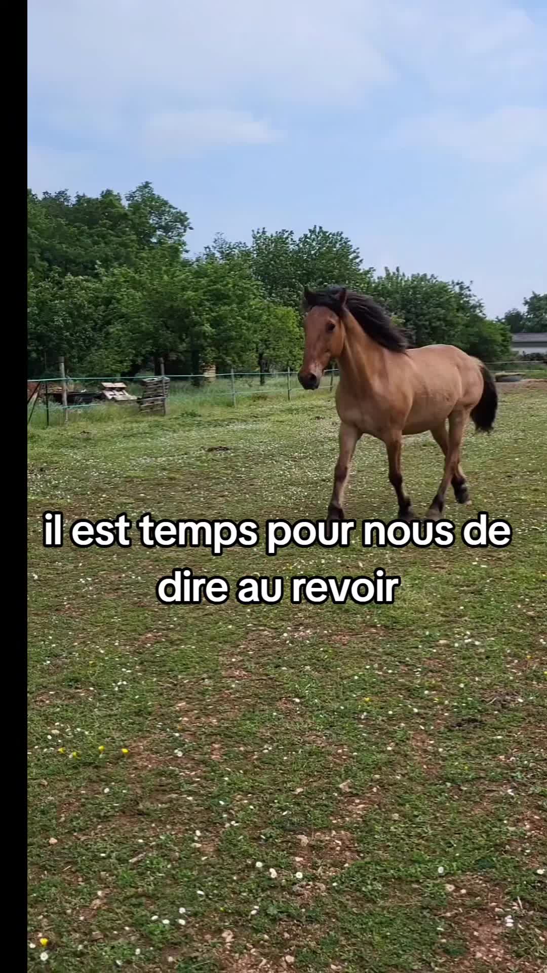 @La.petite.ferme