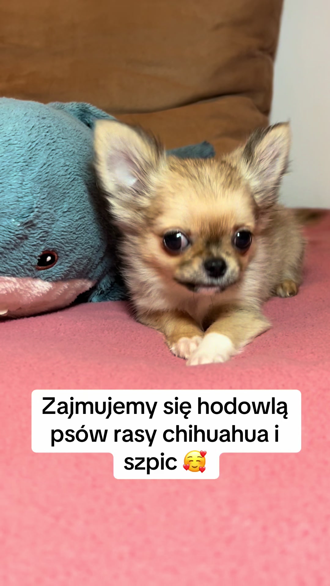 @Ulybki_lilu