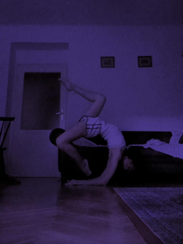 @circusobsessed