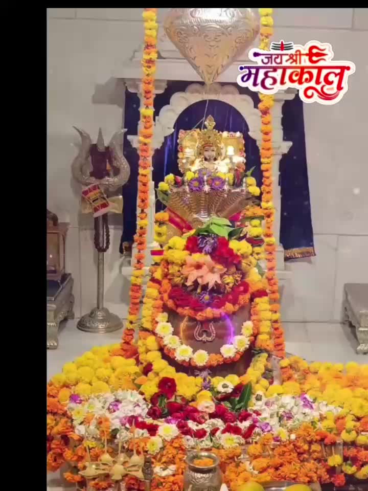 @Dipak Labxencor
