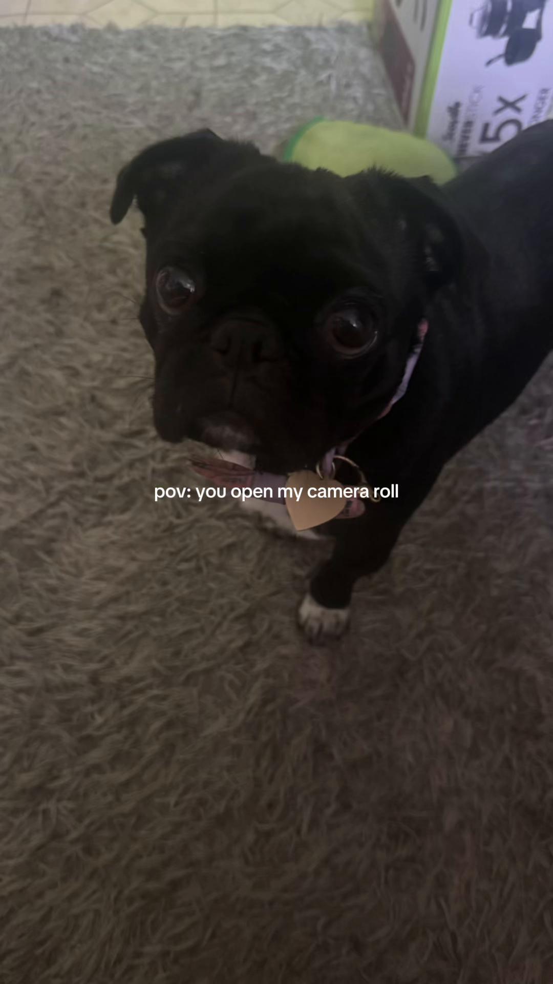@Hanx
