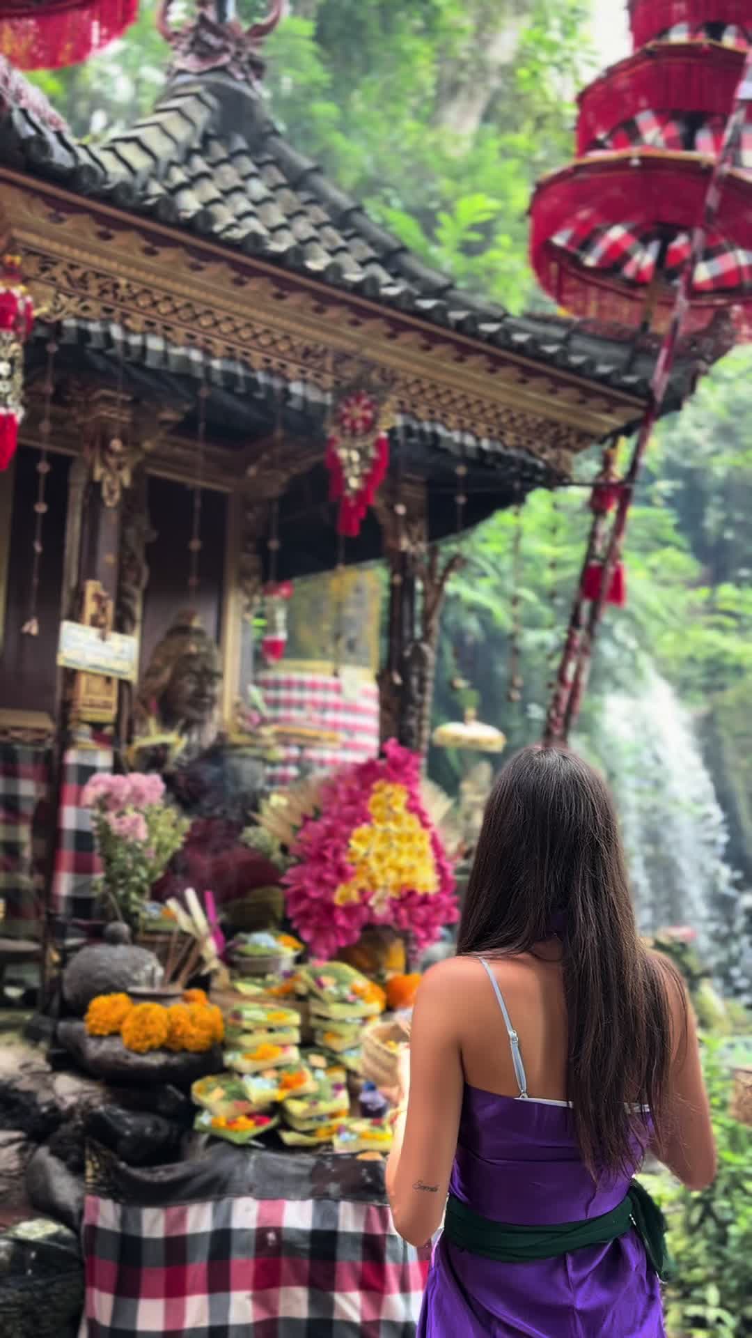 @Elisazuccarello