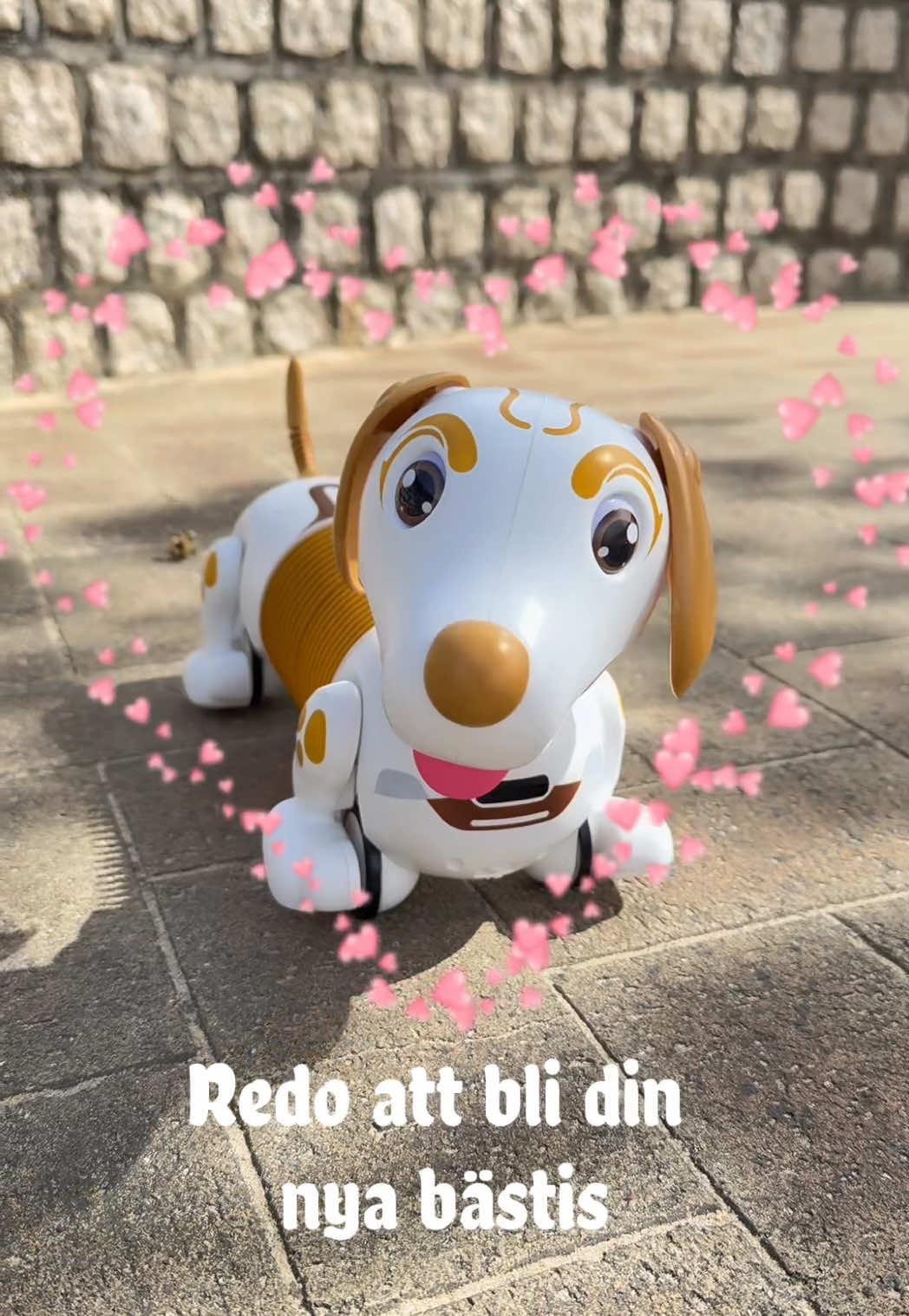 @Silverlitnordic