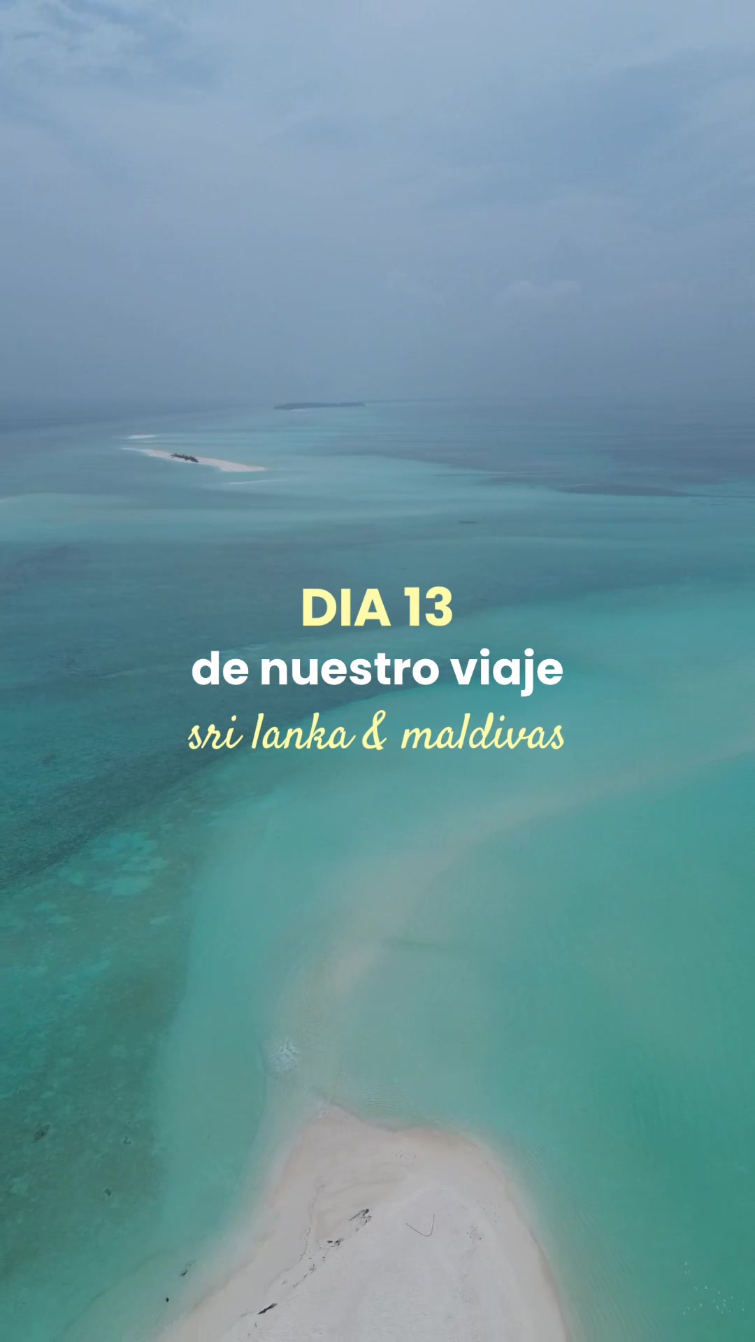 @Laia Ruiz