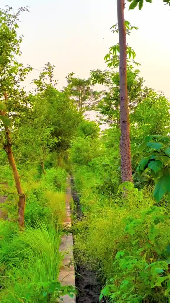 @🥷Malik Usman Khokhar 🥷🦅🦅