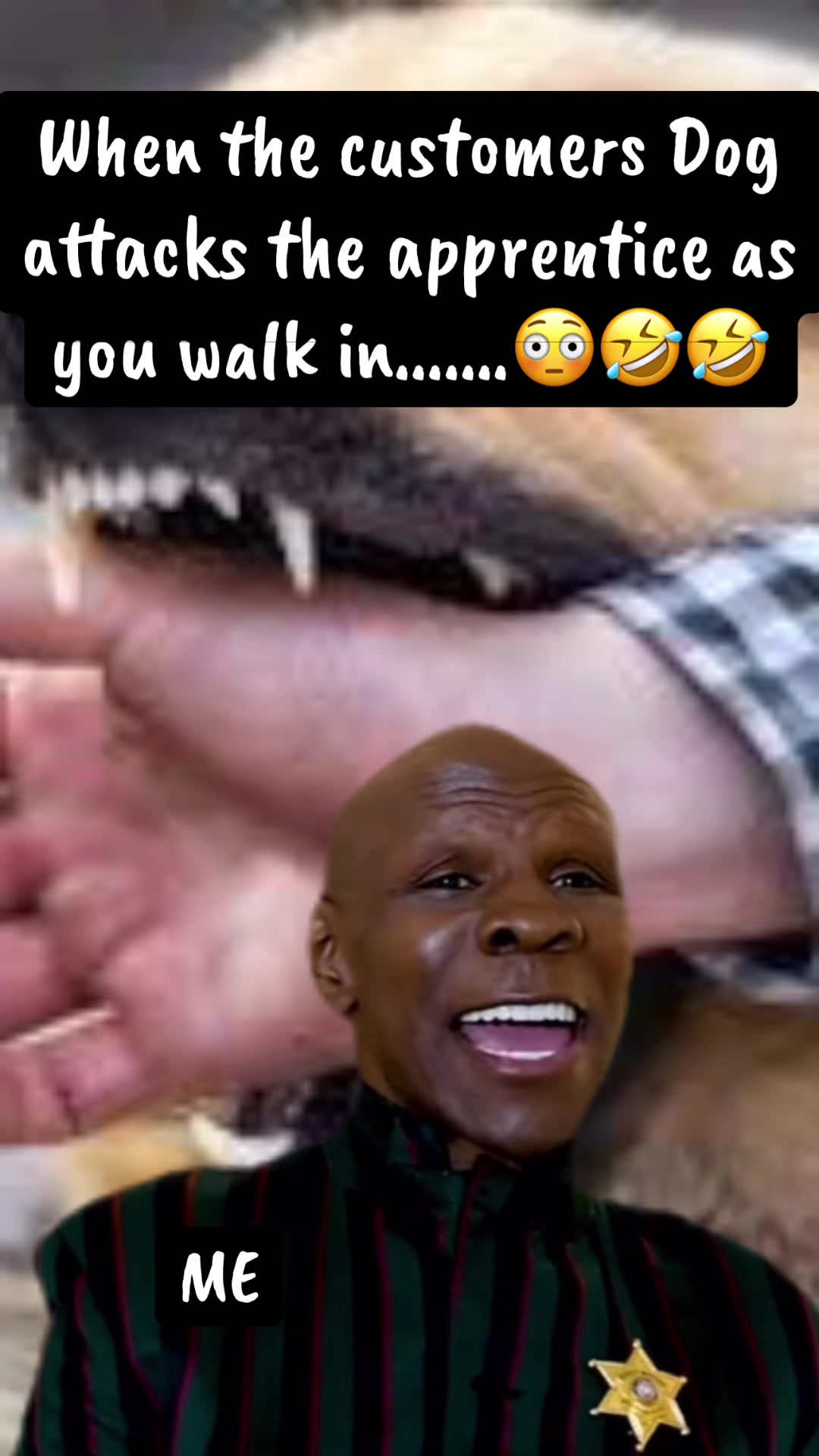 @sparkybantz