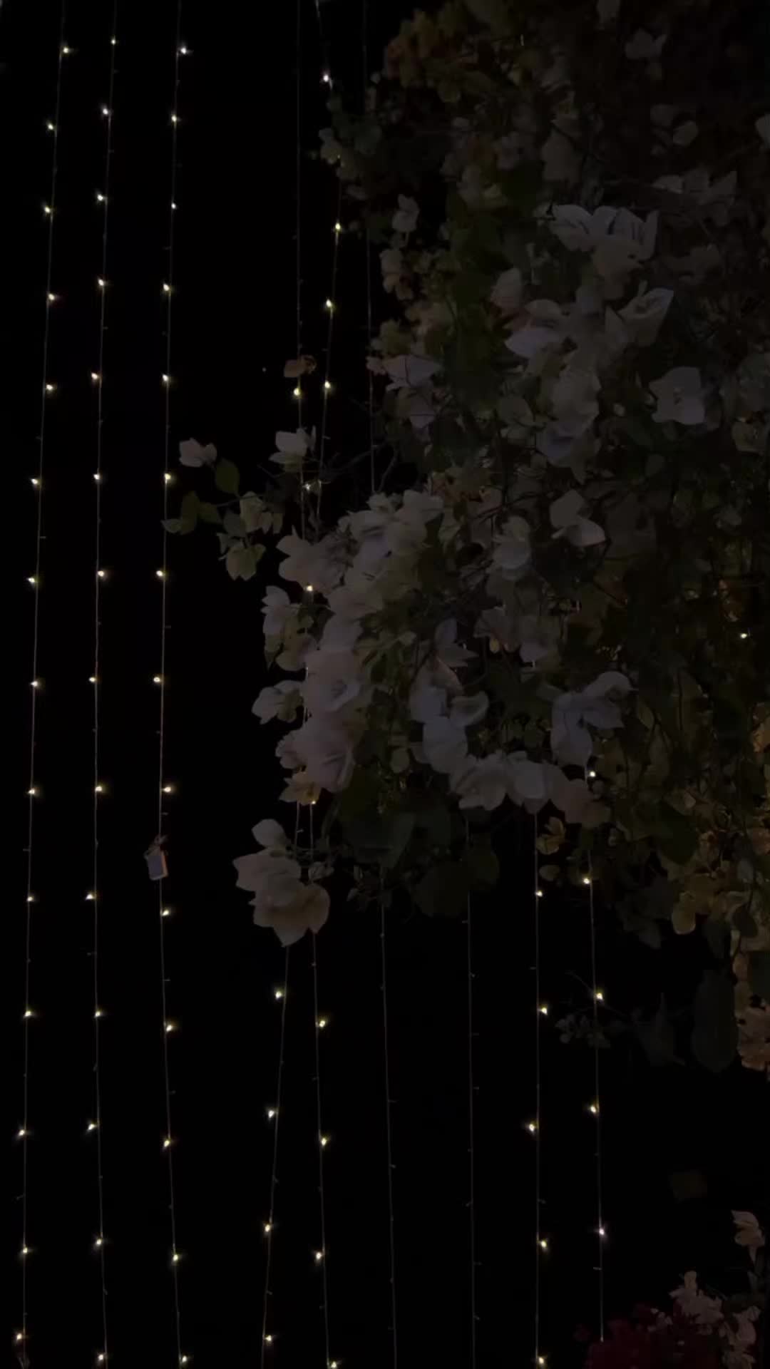 @ᗩ&alpha;ѕ&upsilon; Ɩуя&iota;cѕ...
