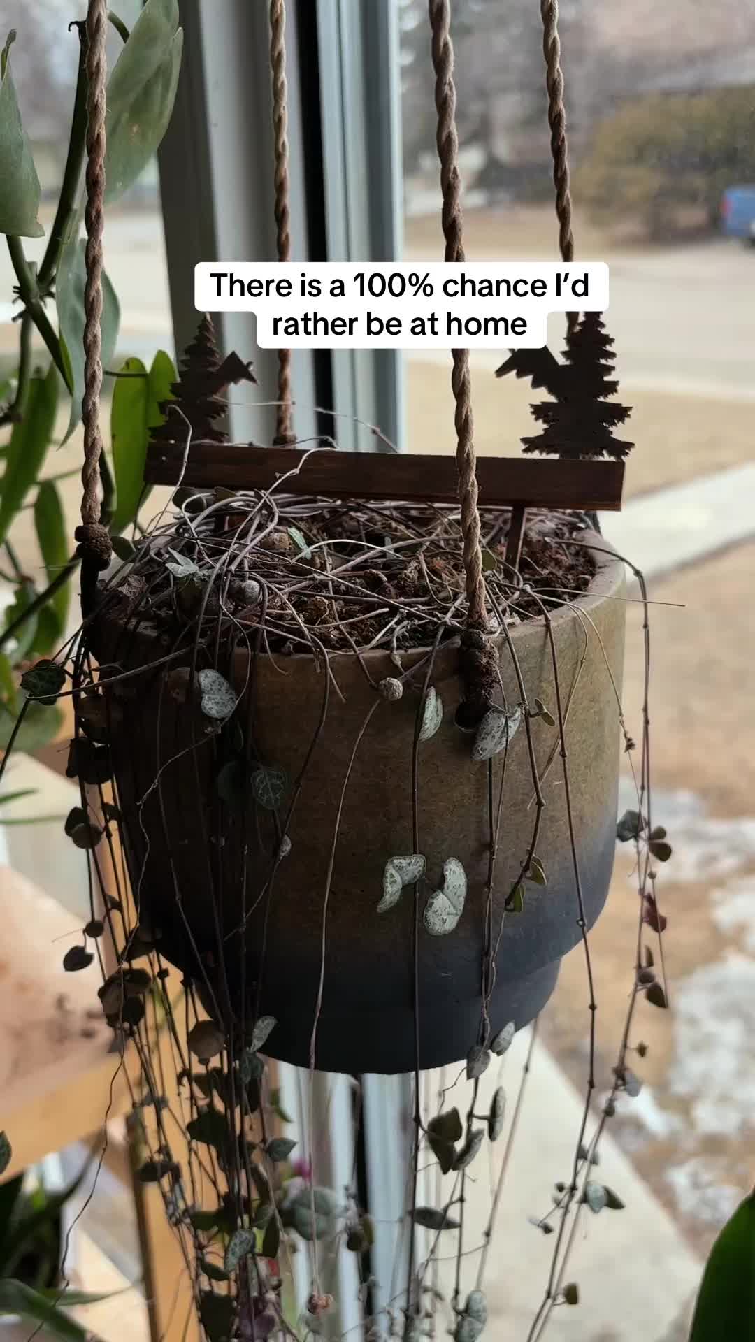 @H9HomegrownLife🌱🇨🇦
