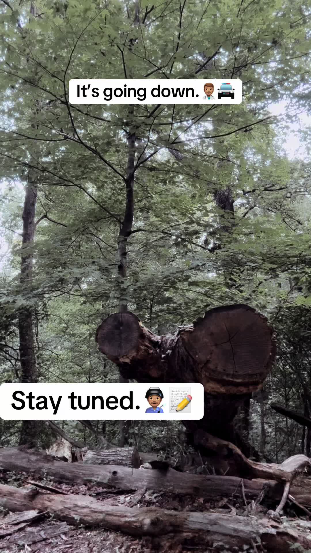 @ThePharmDHealer ®