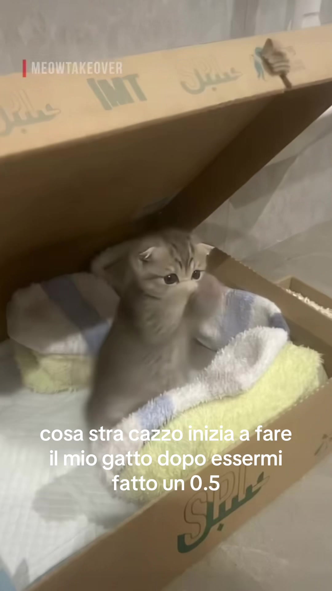 @Samuele