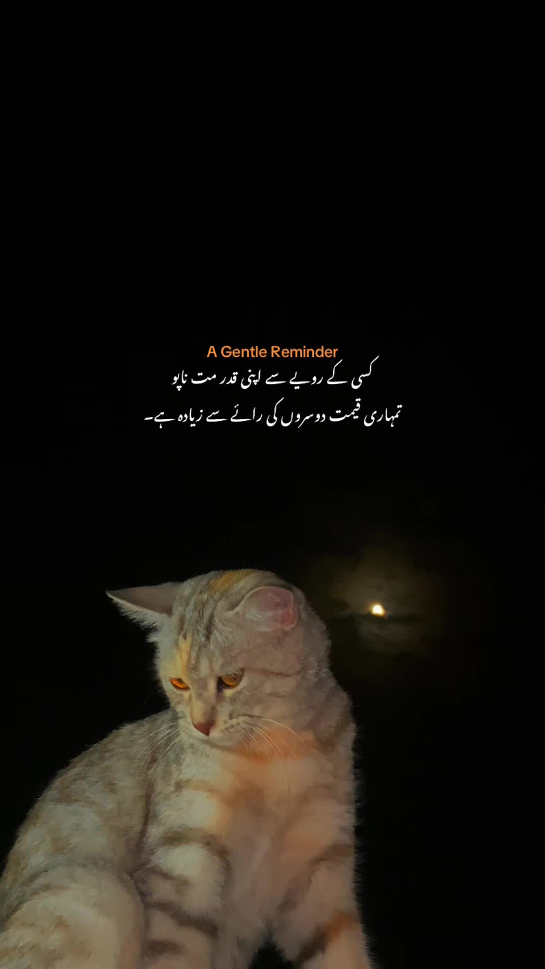 @𝙏𝙖𝙡𝙝𝙖 𝟐🫀❤️&zwj;🩹