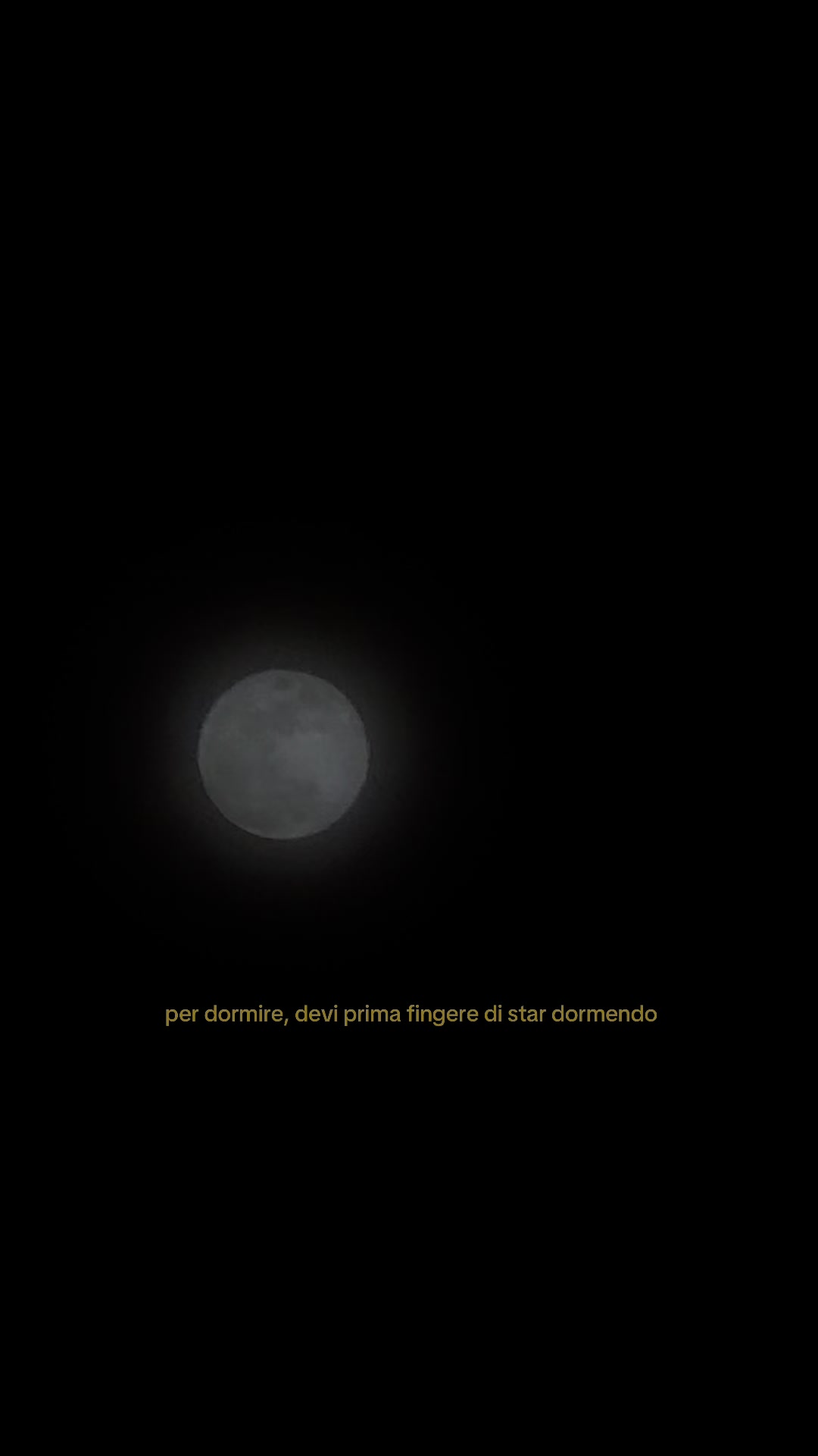 @giorgia
