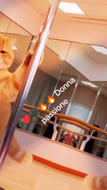 @Betty ❤️🖤 🔥 🔥