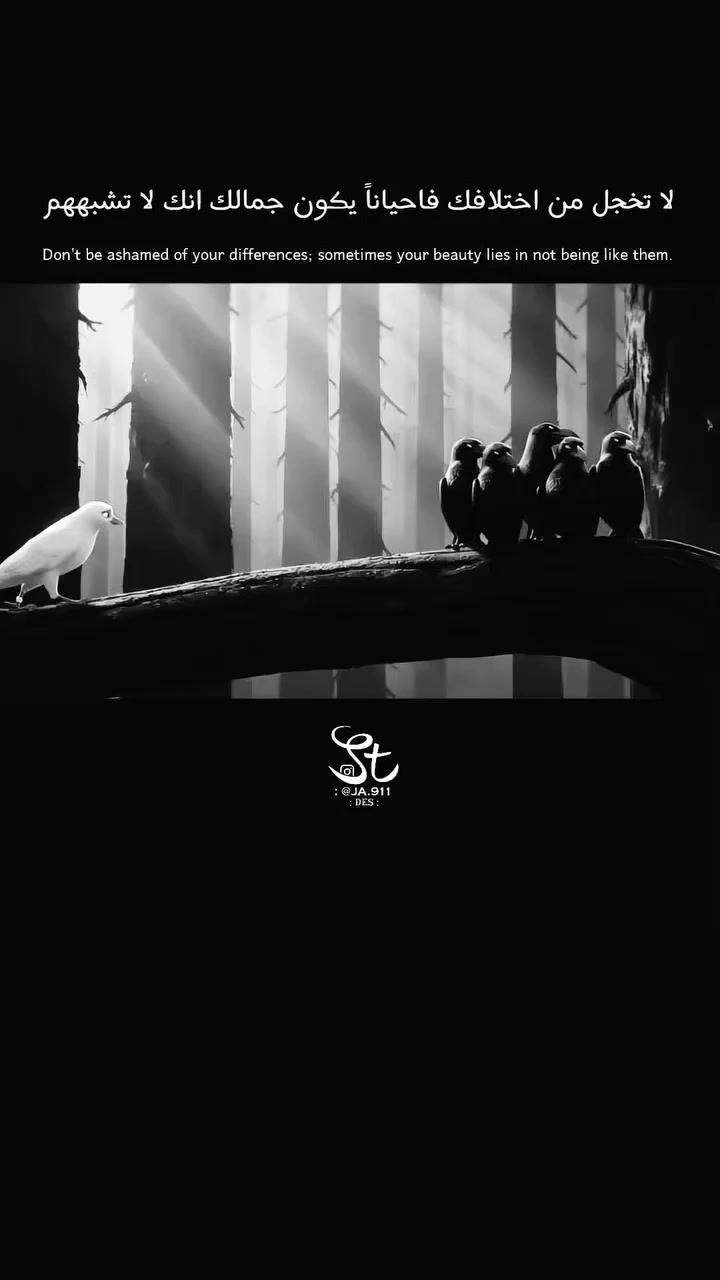 @⚘️ سـتـوريـات ☘️