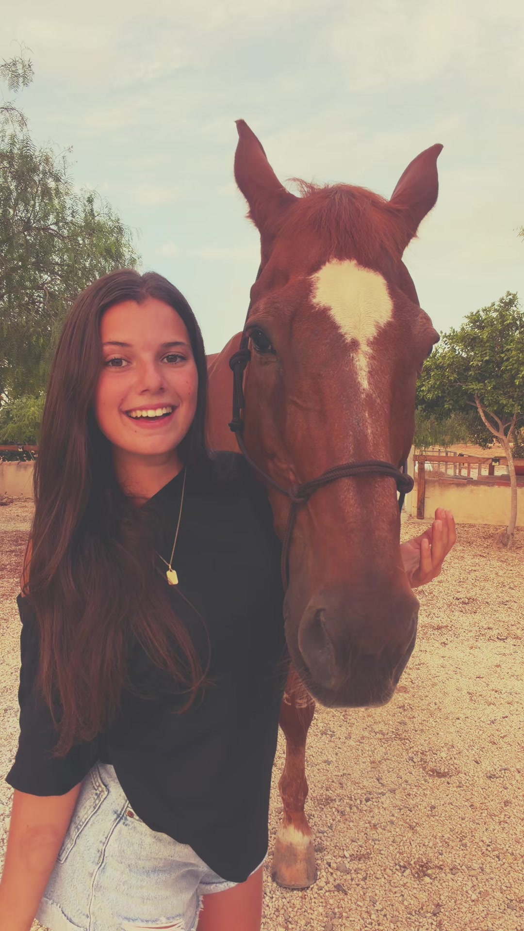 @MyHorse