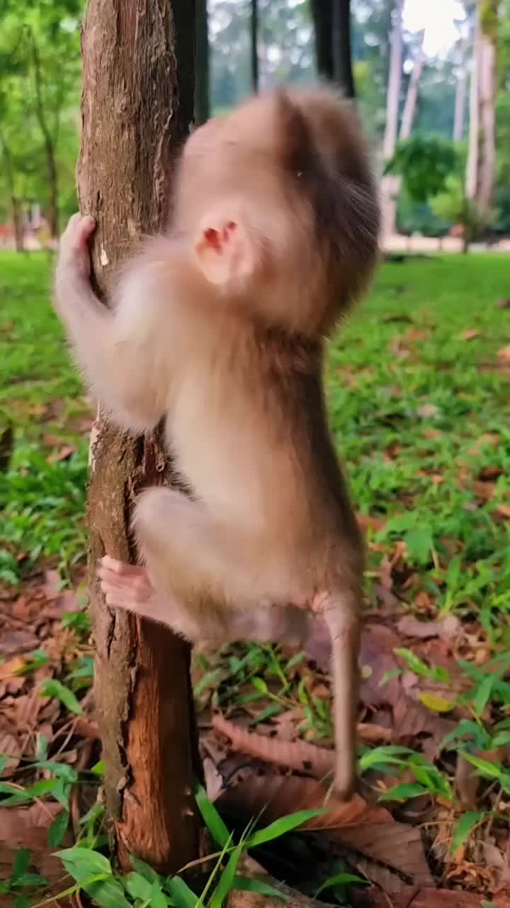 @Law of Nature ๐