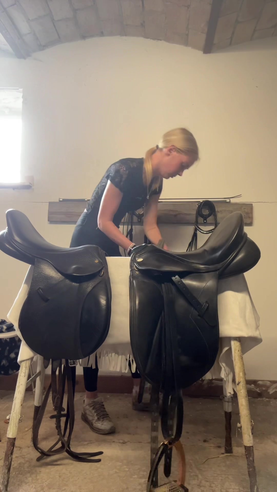 @rask_horses