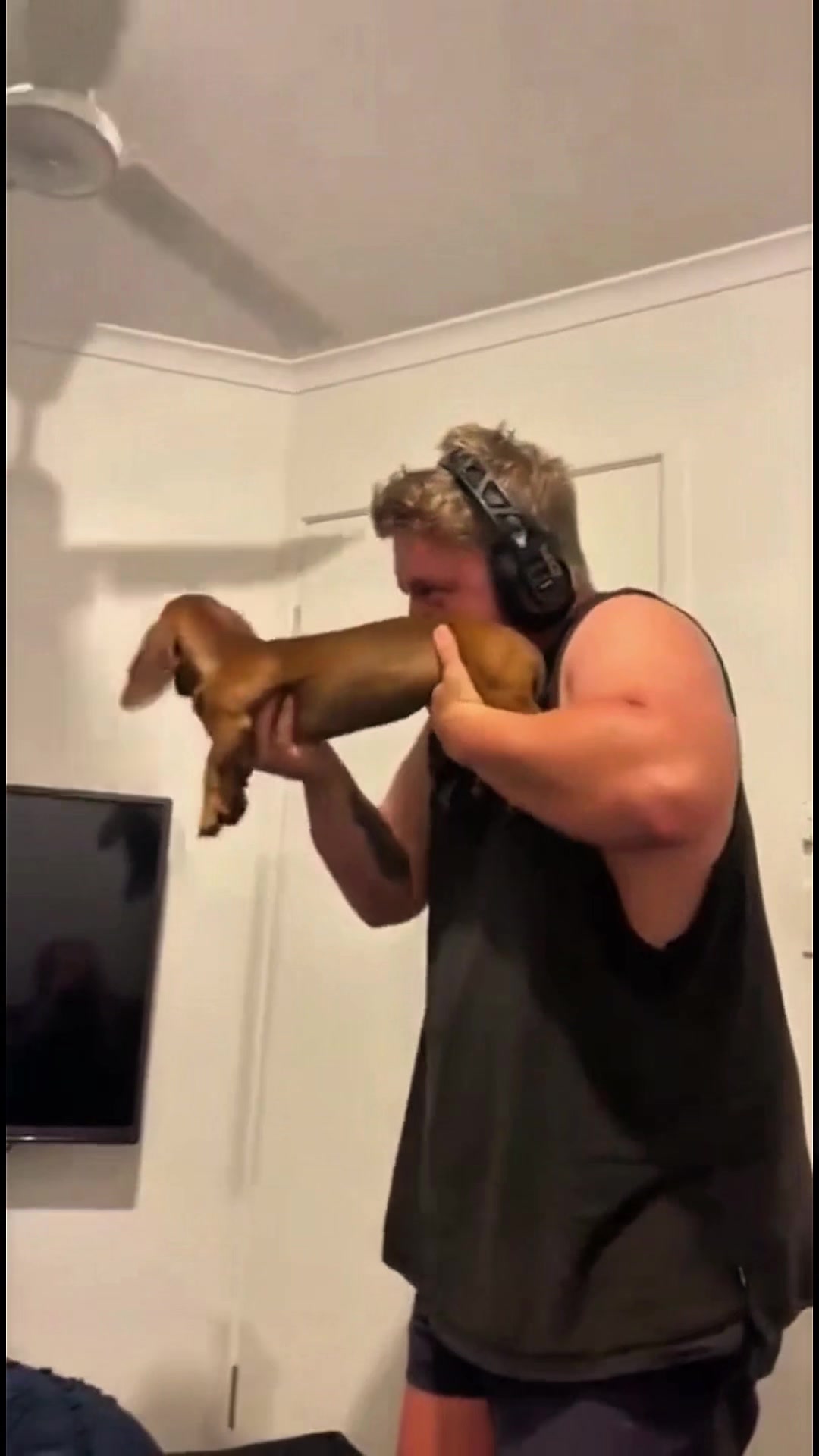 @K9stories