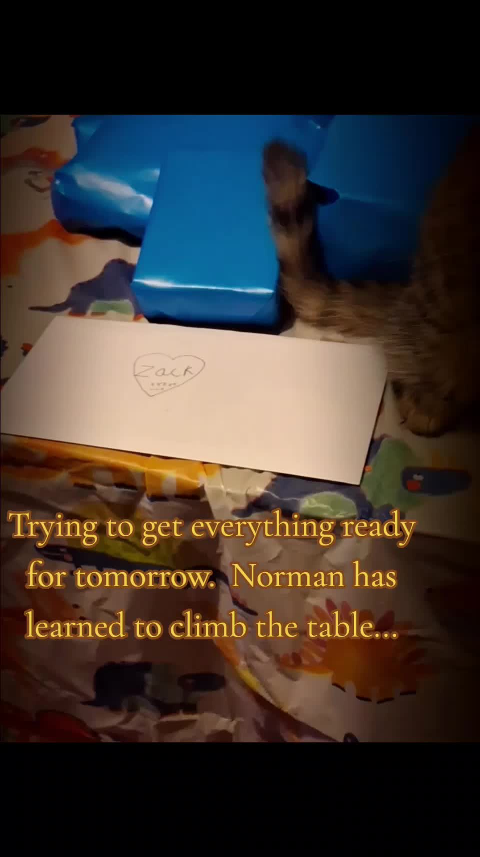 @Gemazing