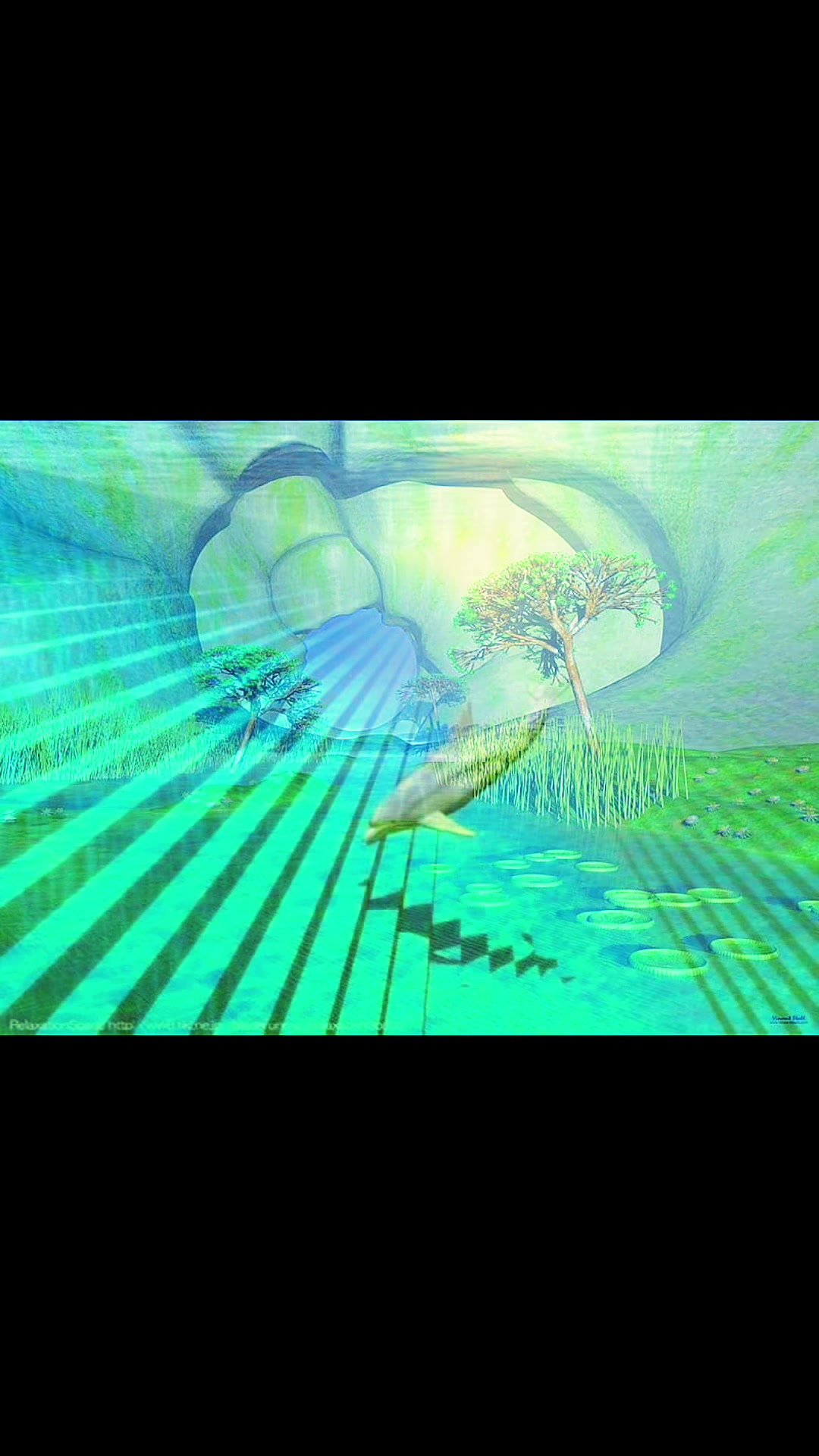 @🧠 nova🫀