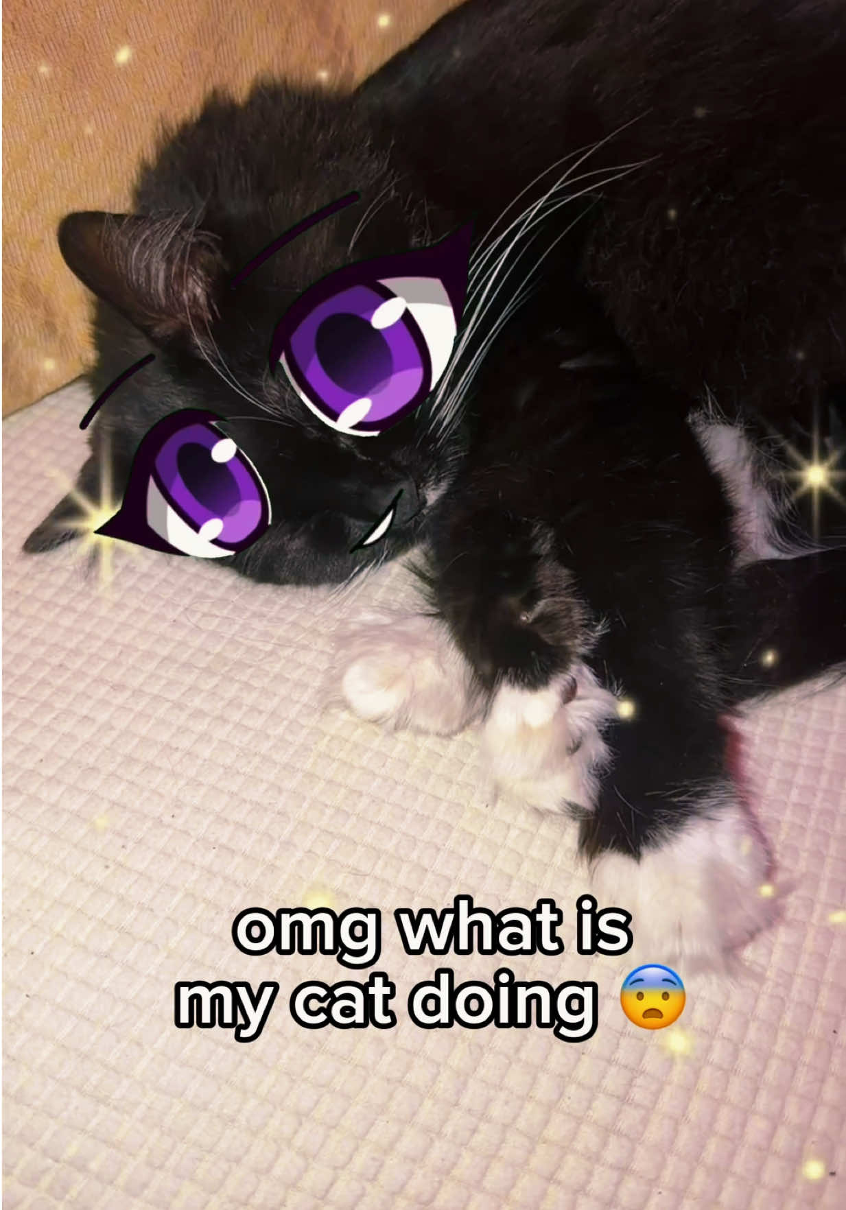 @charleighlux