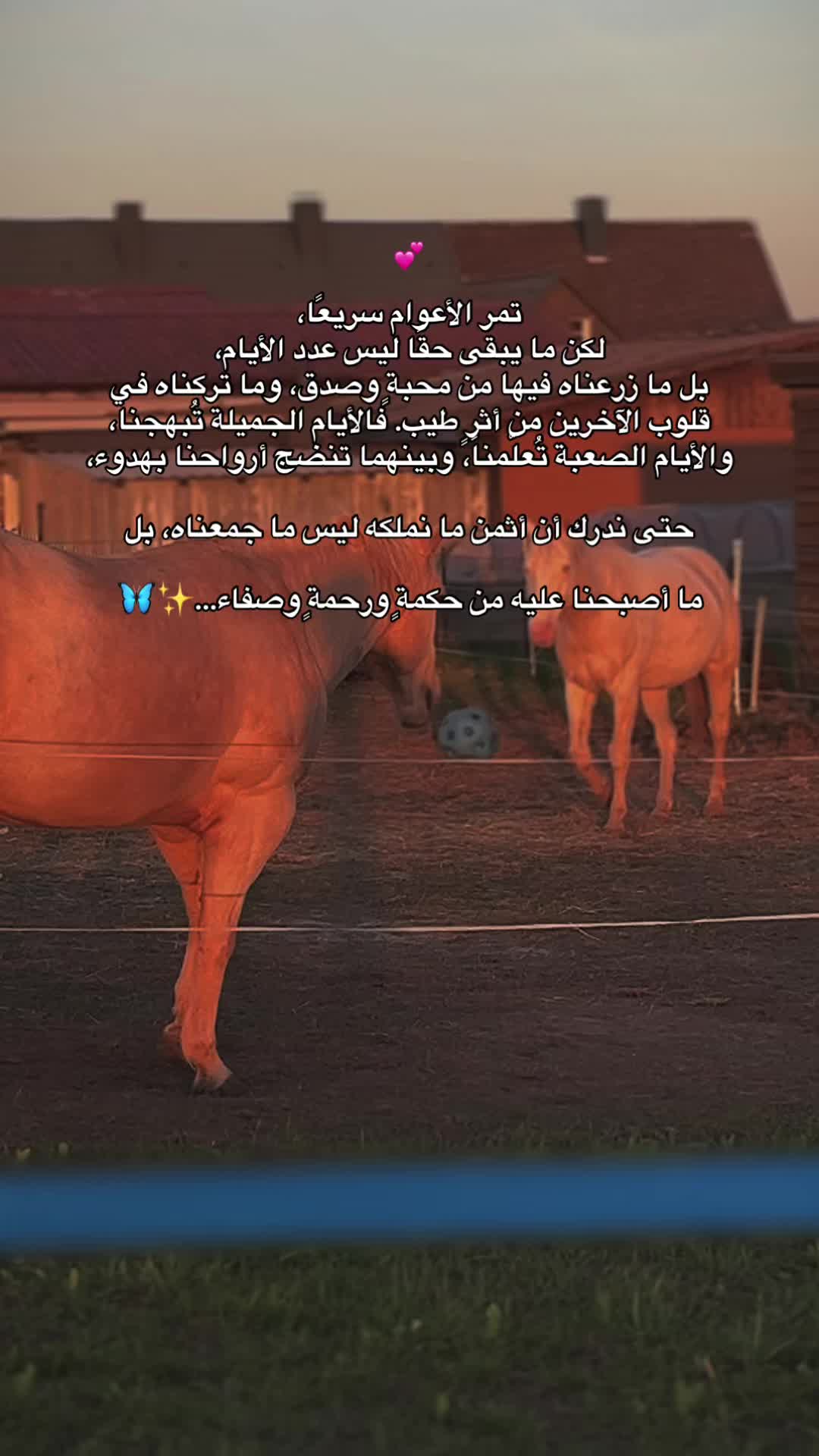 @Ar&icirc;no25Om