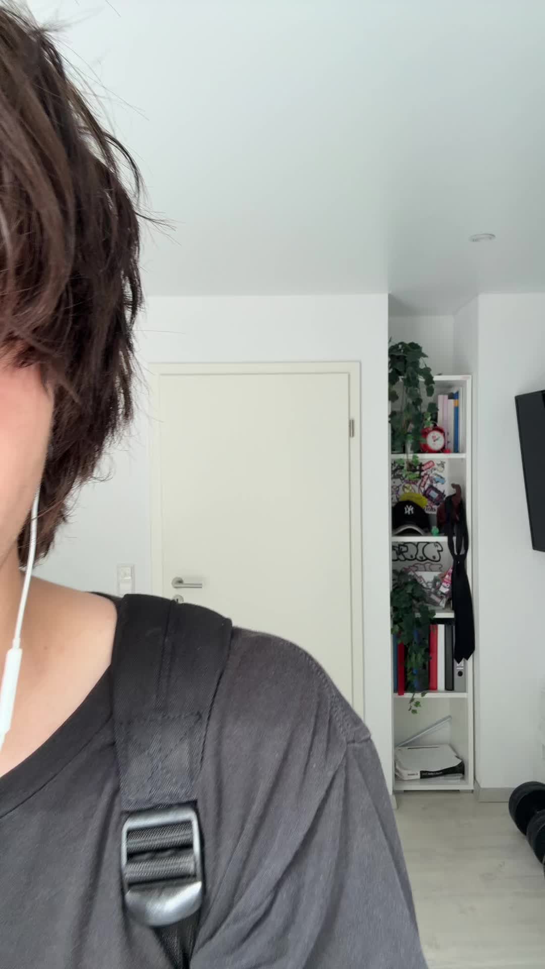 @shicedd