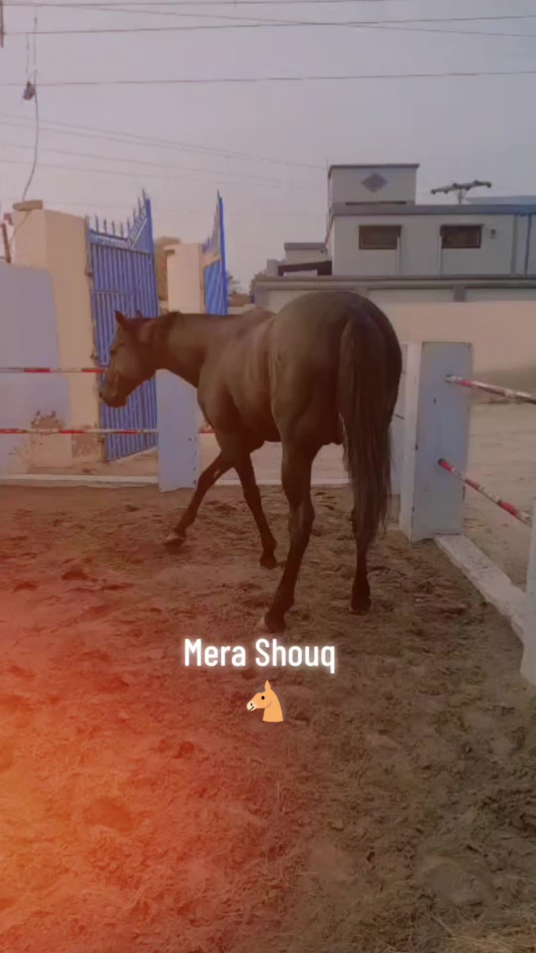 @rehan🕊️