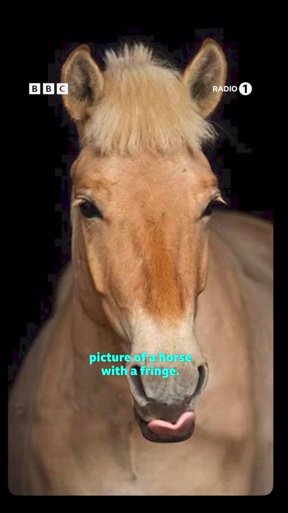 @MelNewt