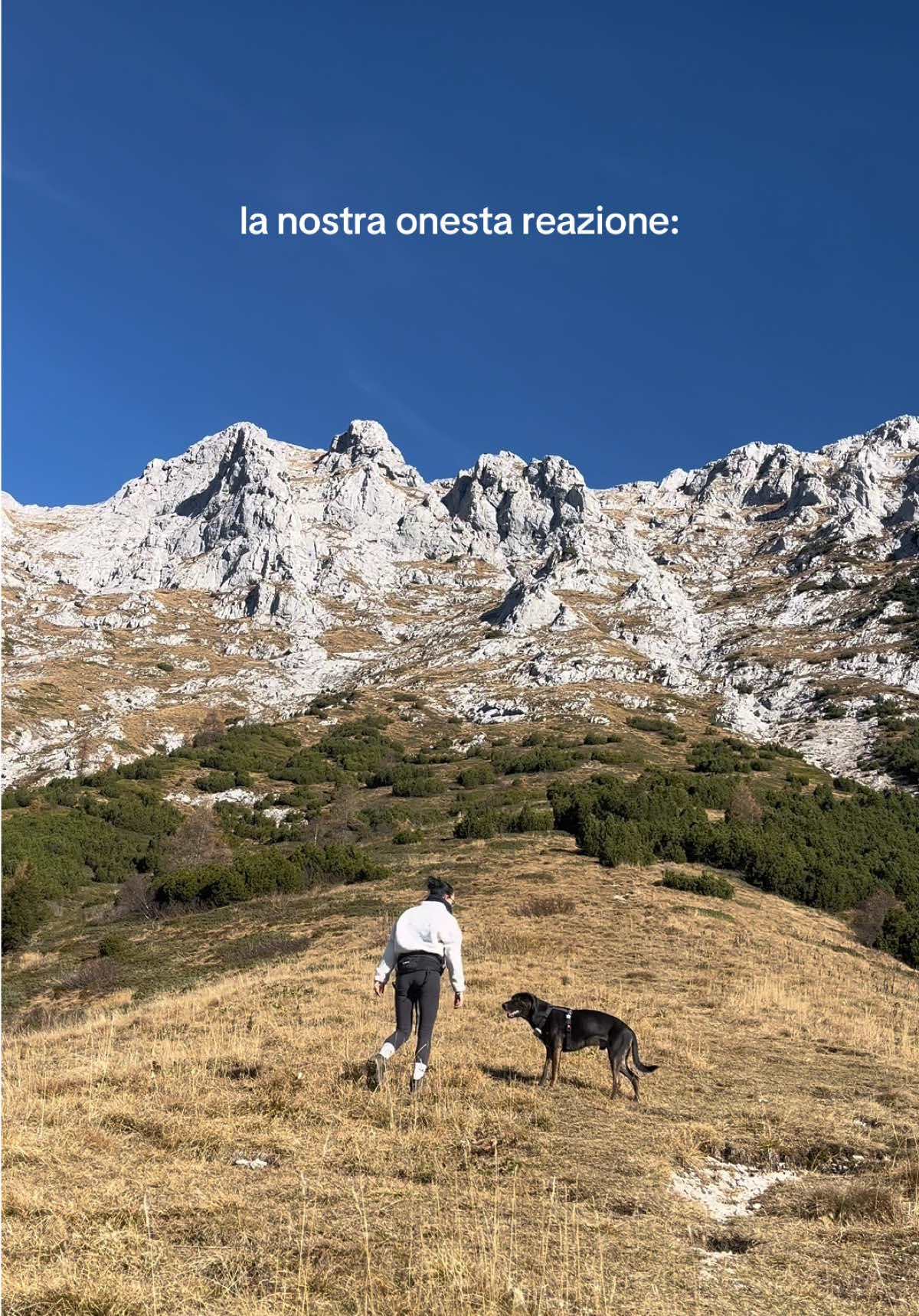 @gi&ugrave;
