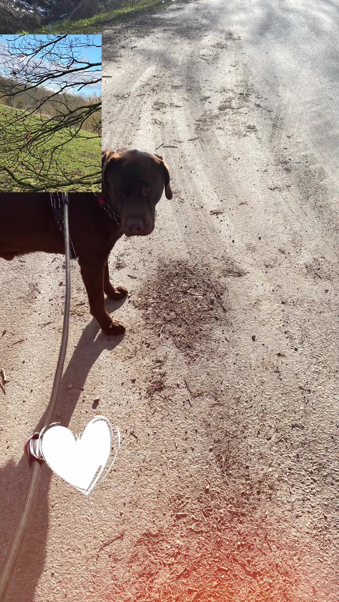 @🐾 Koda & me 🐾
