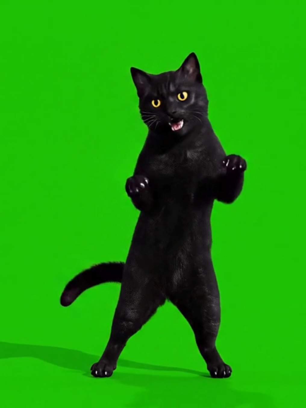 @Crazy Editor